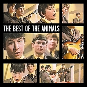 animals-1987